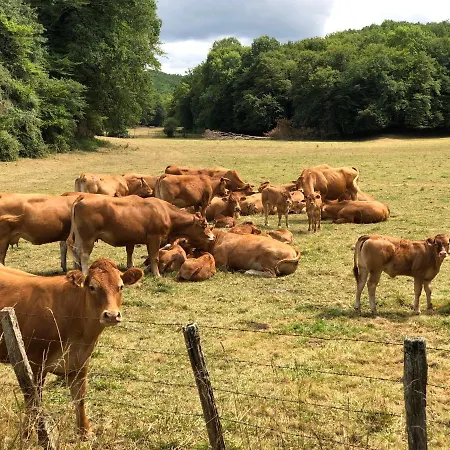 Cosy Et Situation Ideale - Les Pierres De Tiphaine Feriehus